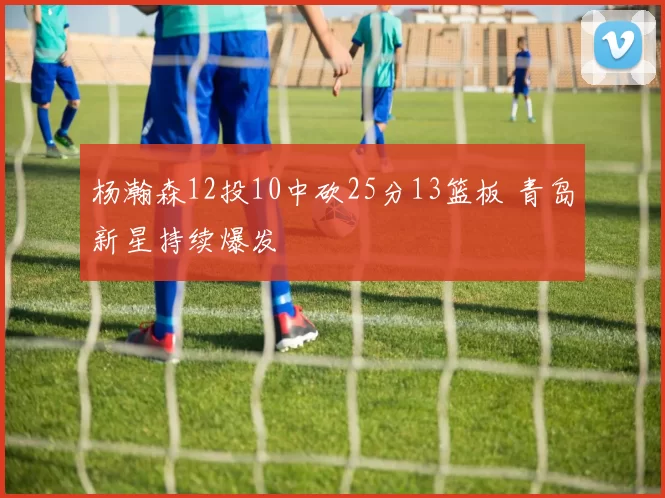 杨瀚森12投10中砍25分13篮板 青岛新星持续爆发