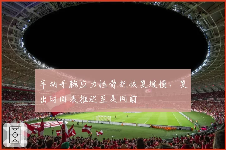 辛纳手腕应力性骨折恢复缓慢,复出时间表推迟至美网前