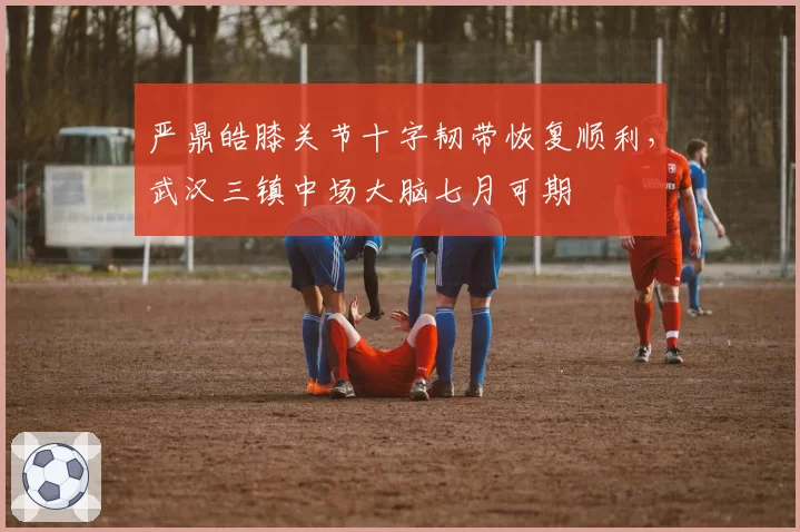 严鼎皓膝关节十字韧带恢复顺利，武汉三镇中场大脑七月可期