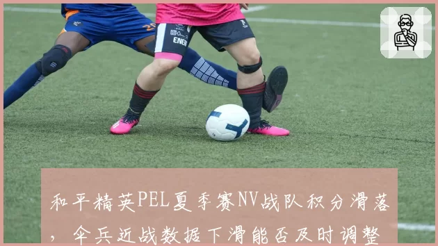 和平精英PEL夏季赛NV战队积分滑落，伞兵近战数据下滑能否及时调整？