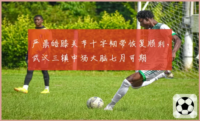 严鼎皓膝关节十字韧带恢复顺利，武汉三镇中场大脑七月可期