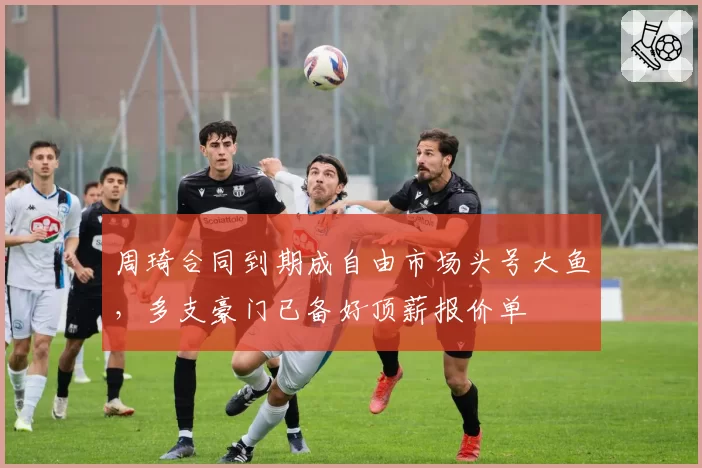 周琦合同到期成自由市场头号大鱼,多支豪门已备好顶薪报价单